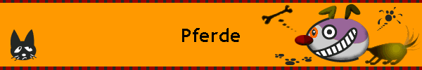 Pferde